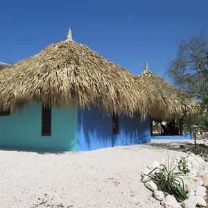 Don Genaro , Barber Curaçao